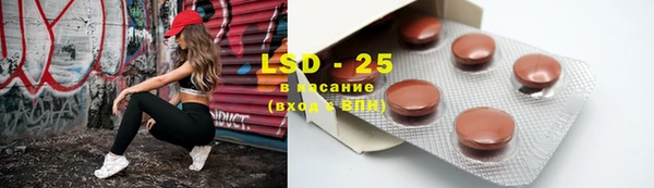 шишки Алзамай